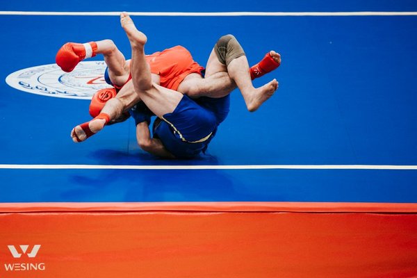 freestyle vs greco roman wrestling