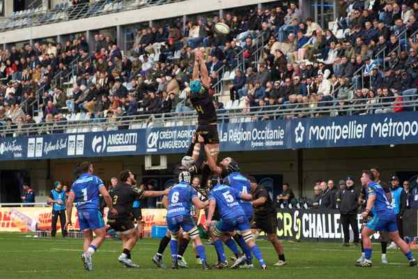 rugby world cup qualification
